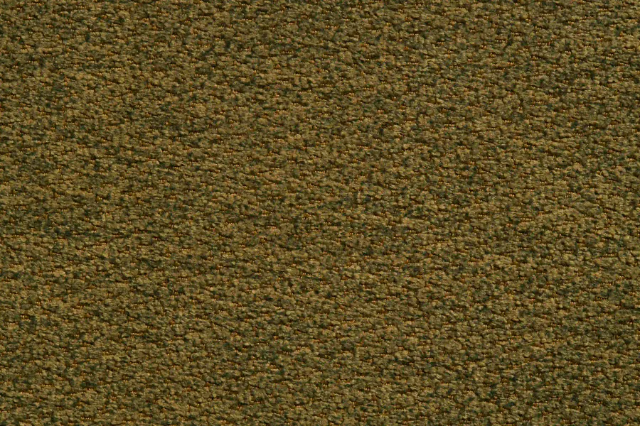 Tekstura